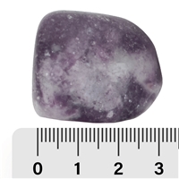 Pierre roulée Lépidolite, 2,9 - 3,3cm (XL)