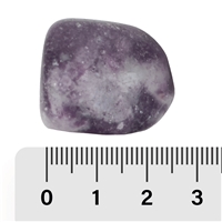 Pierre roulée Lépidolite, 2,4 - 2,8cm (L)