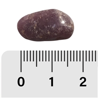 Pierre roulée Lépidolite, 1,5 - 2,0cm (S)