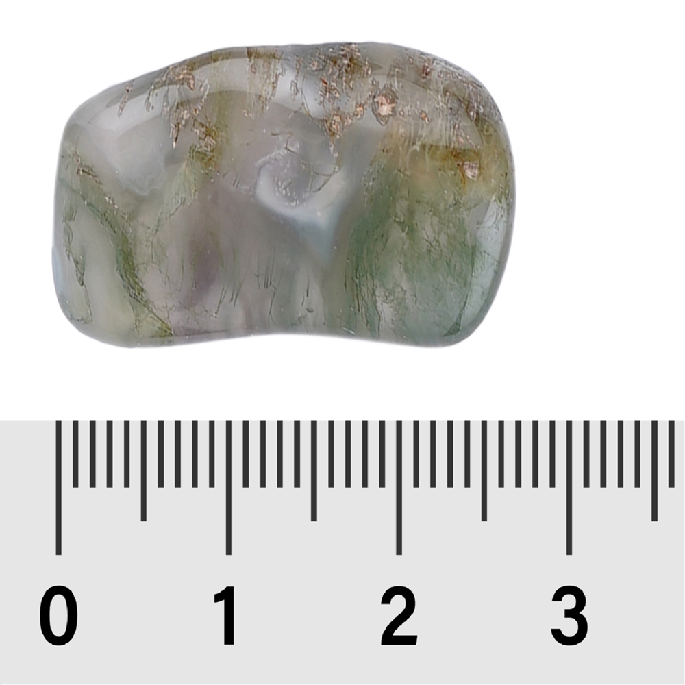 Trommelsteine Moosachat, 2,0 - 2,5cm (M)