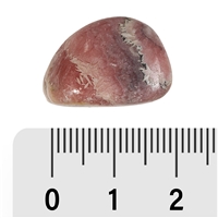 Pierre roulée Rhodochrosite A, 1,8 - 2,5cm (M)