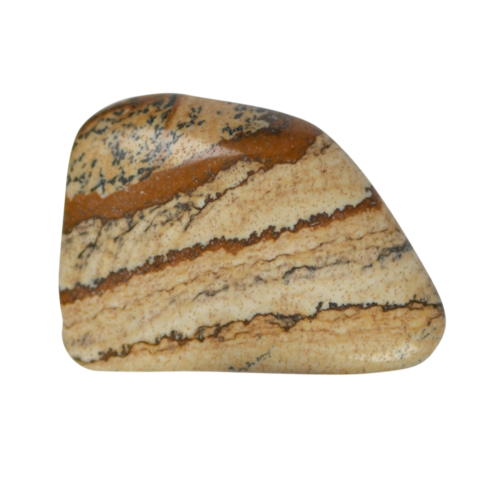 Trommelsteine Jaspis (Landschaftsjaspis), 2,5 - 4,5cm (XL)