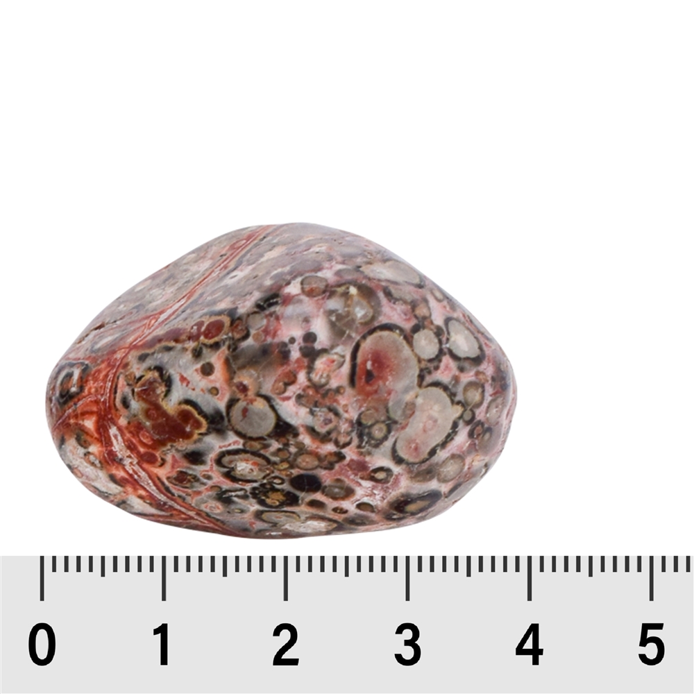 Tumbled stones jasper (leopard skin jasper), 2.5-3.8cm (L)