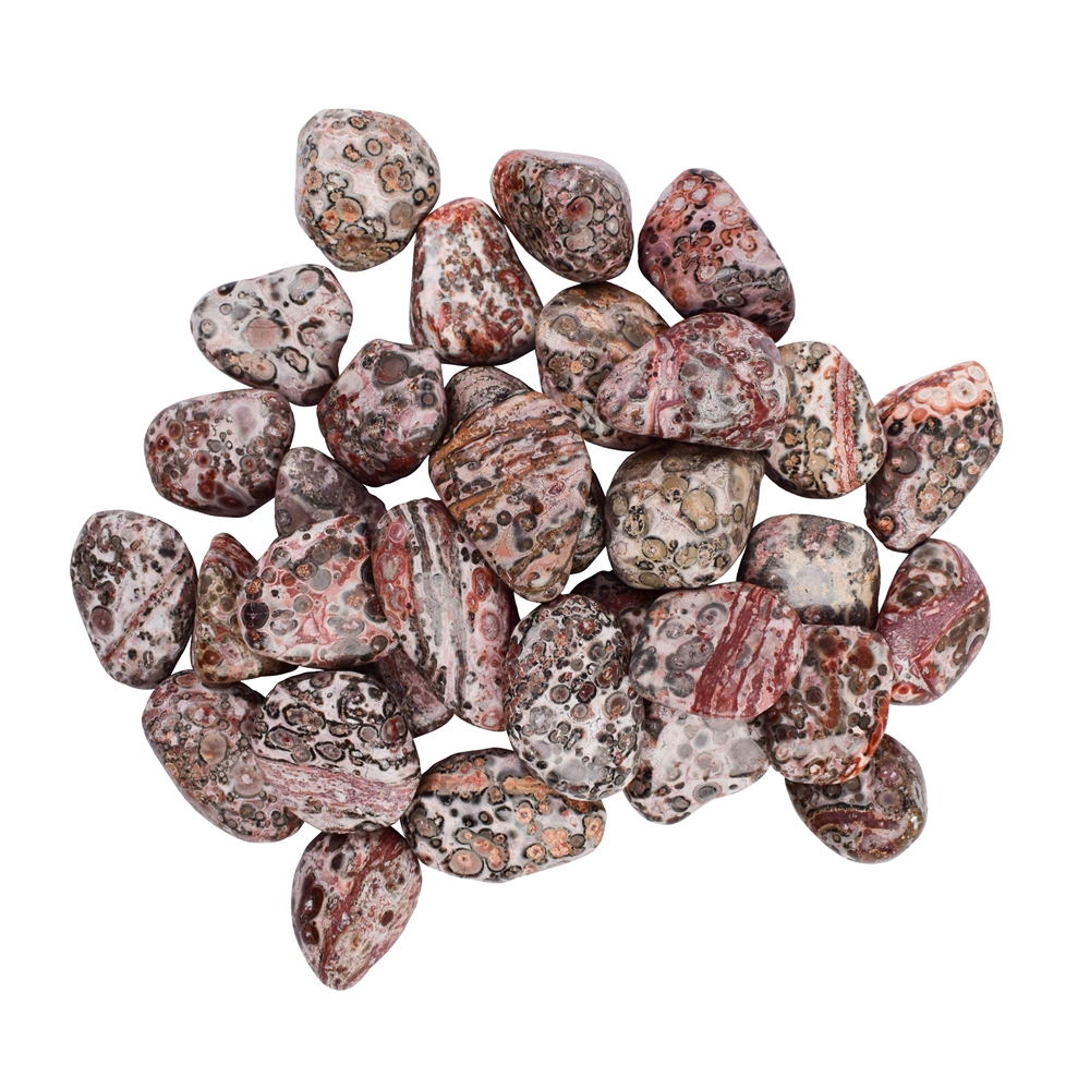 Tumbled stones jasper (leopard skin jasper), 2.5-3.8cm (L)