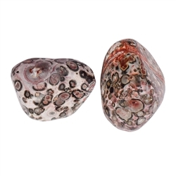 011670301 Piedras rodadas jaspe (jaspe piel de leopardo), 2,5-3,8cm (L) | Marco Schreier