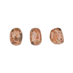 011670402 Piedras rodadas jaspe (jaspe piel de leopardo), 1,8 - 2,8cm (M) | Marco Schreier