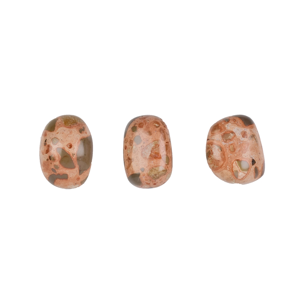 Tumbled Stone Jasper (Leopard Skin Jasper), 1,8 - 2,8cm (M)