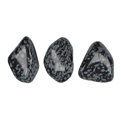 011710401 Piedras rodadas Obsidiana (obsidiana nevada), 2,0 - 3,0 cm (M) | Marco Schreier