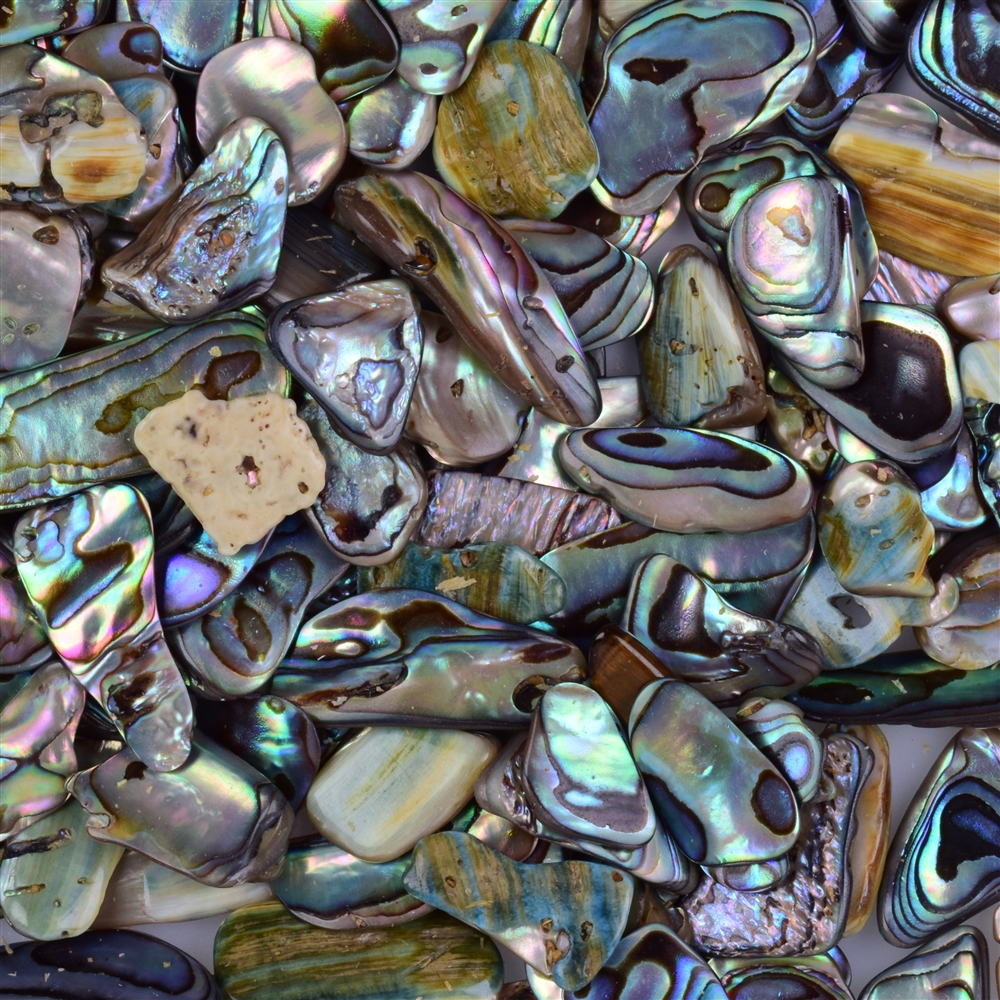 Tumbled Stones Paua Shell, 1,0 - 1,5cm (B1) Special price!