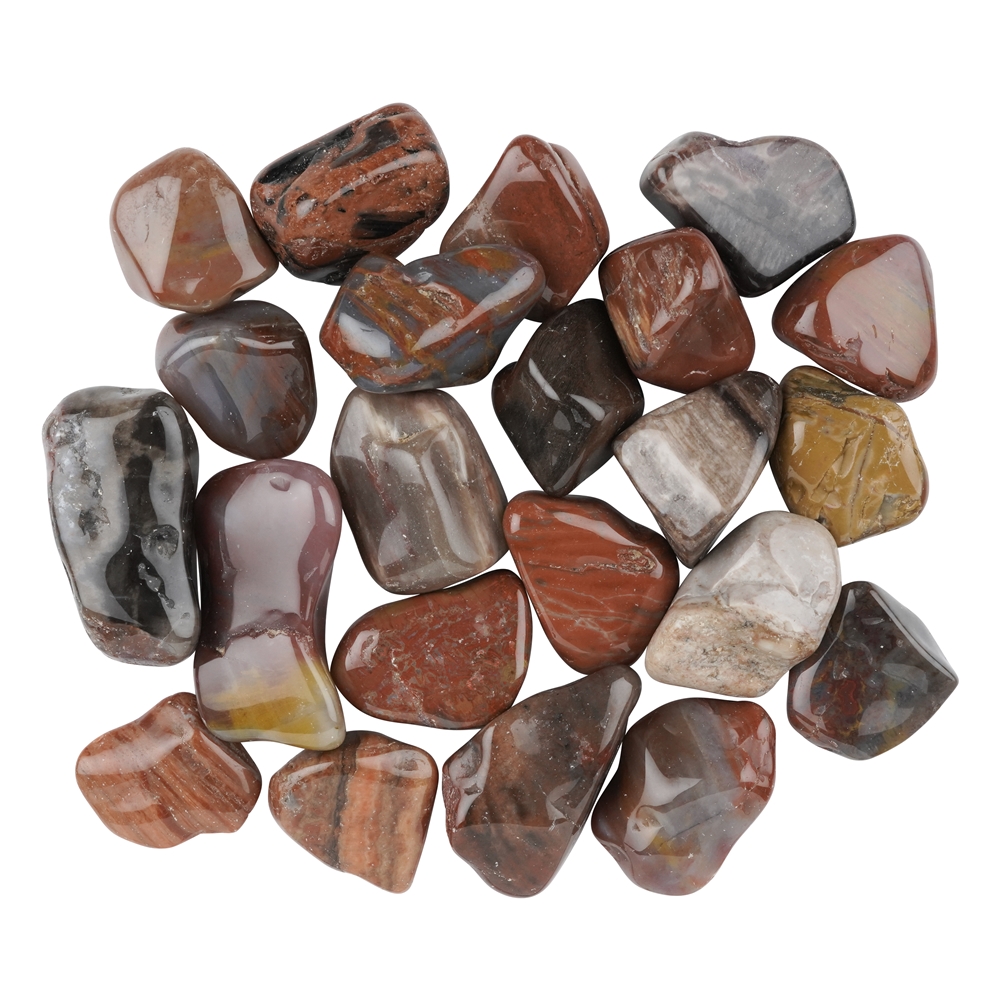 Petrified Wood Tumbled Stones, 3.0 - 5.0cm (XL)