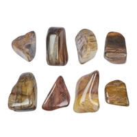 Tumbled Stones Petrified Wood, 2,2 - 4,0cm (L)