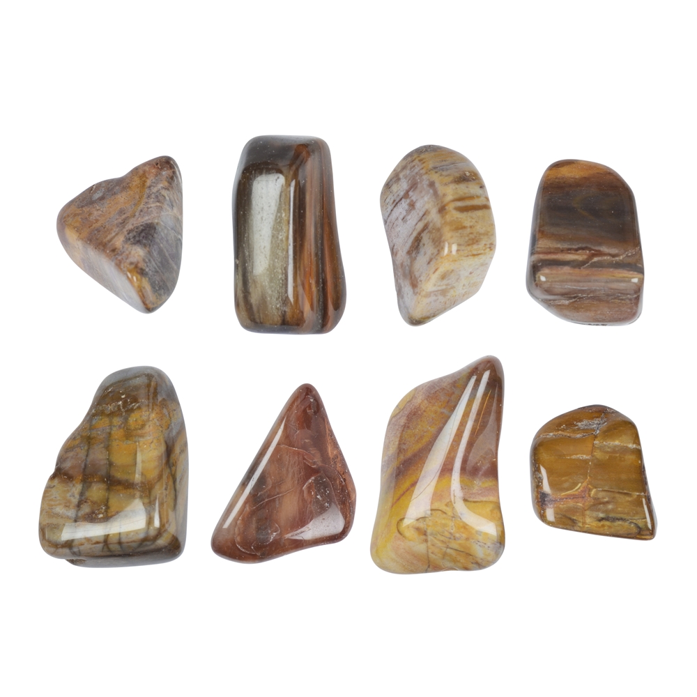 Tumbled Stones Petrified Wood, 2,2 - 4,0cm (L)