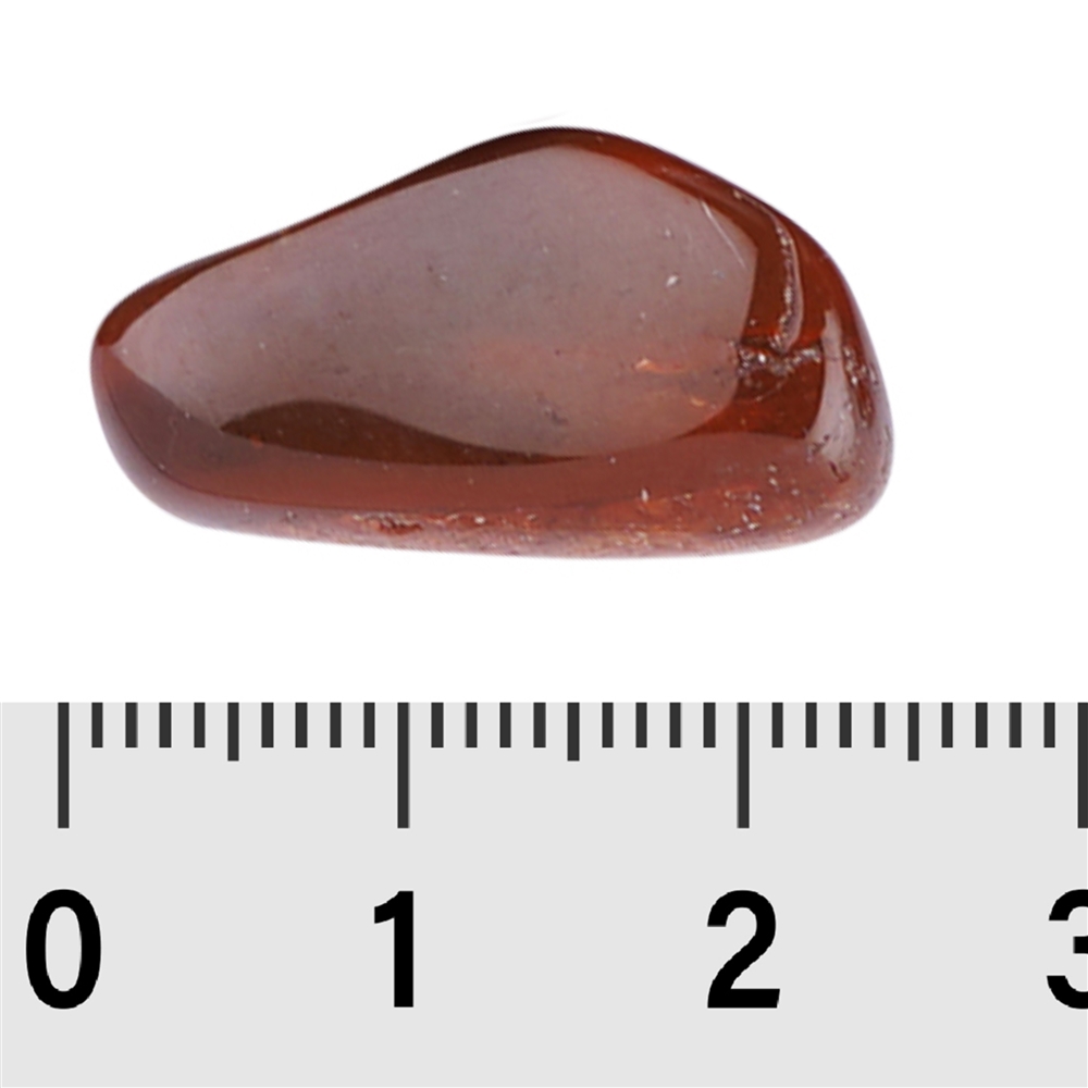 Pietra burattata legno fossile, 2,0 - 3,0 cm (M)