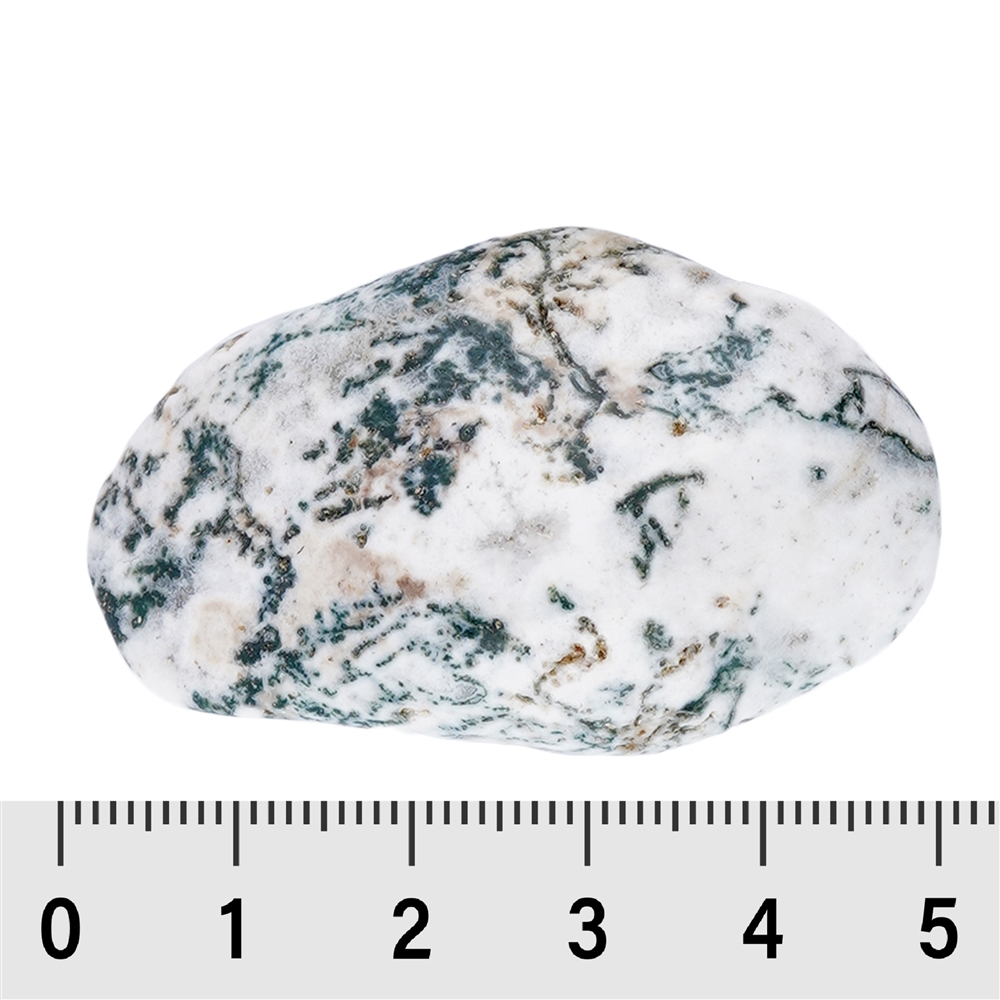 Tumbled Stones Agate (Tree Agate), 3,5 - 4,5cm (XL)