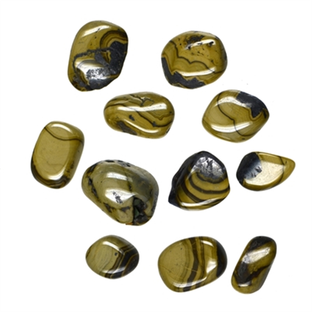 Tumbled Stones shell face, 1,0 - 2,5cm (S/M)