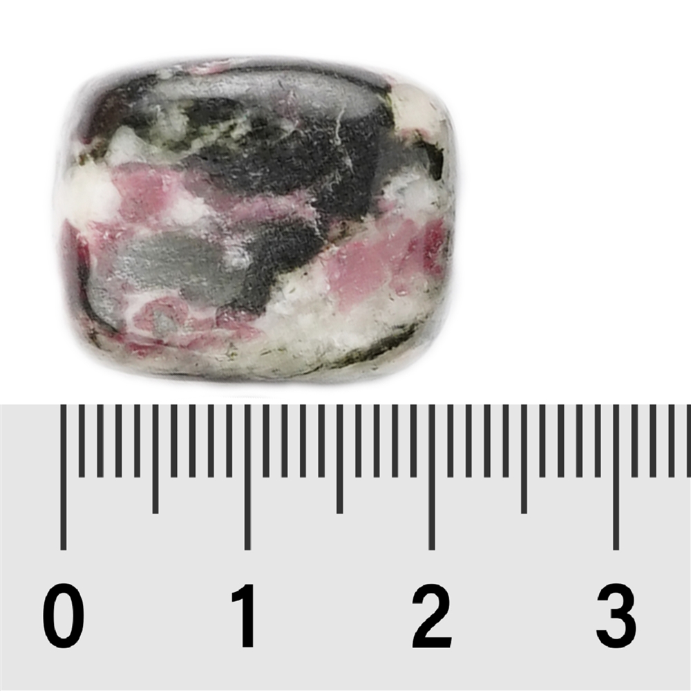 Pietra burattata Eudialyte, 2,0 - 2,7 cm (L)