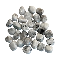 Tumbled Stone Labrodorite (white), 1,8 - 2,4cm (M)