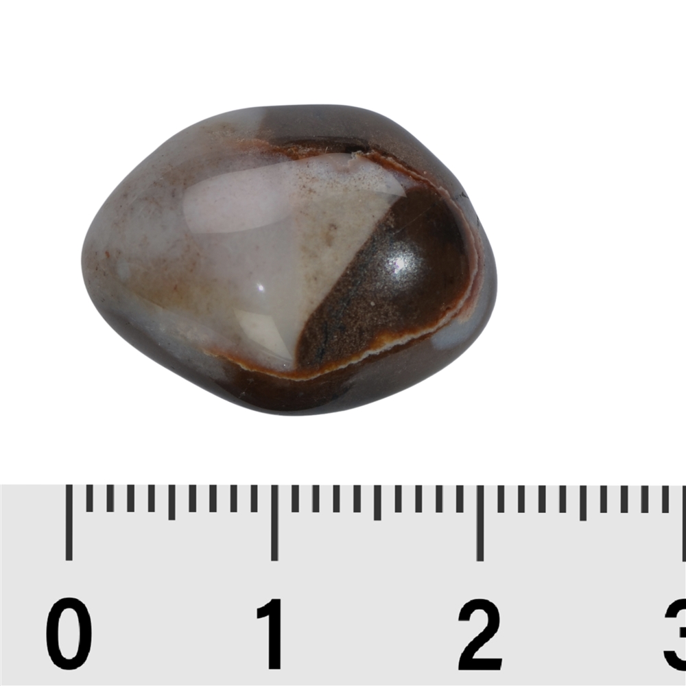 Pierres roulées Sardonyx, 1,9 - 2,3cm (M)