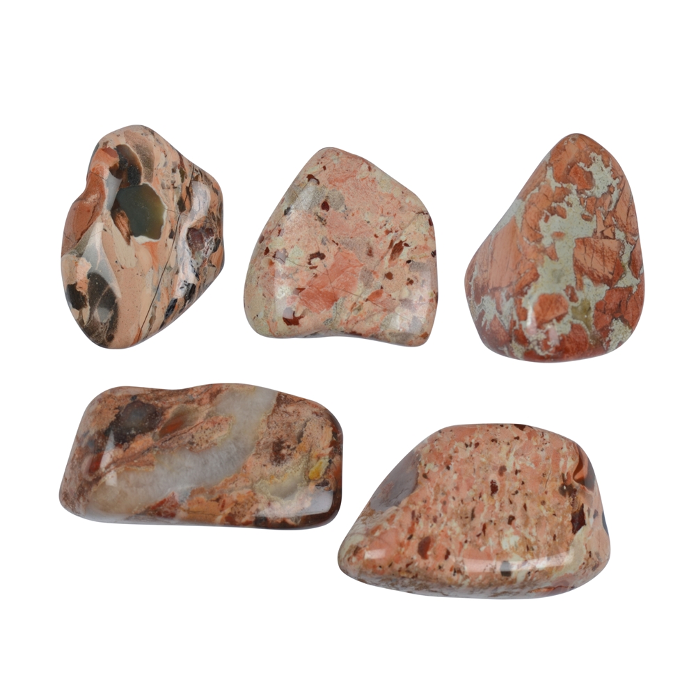 Tumbled Stones Jasper (Brecciated Jasper cream), 2,5 - 4,0cm (XL)