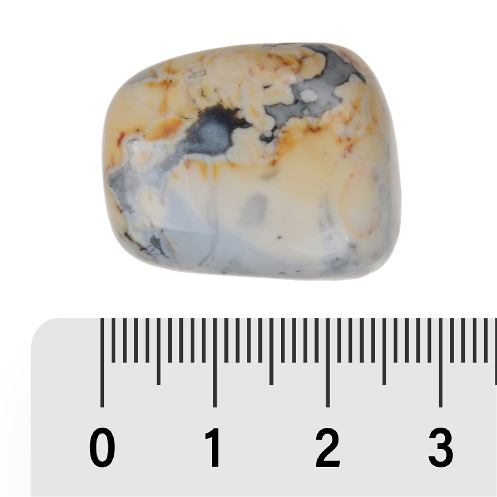 Trommelsteine Maligano-Jaspis, 2,5 - 3,0cm (L)