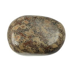 021670001 Piedras rodadas jaspe (jaspe piel de leopardo), 4,0 - 6,0 cm (jumbo) | Marco Schreier