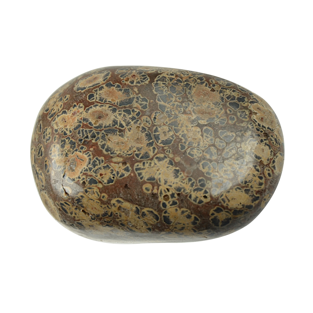 Tumbled Stone Jasper (Leopard Skin Jasper), 4,0 - 6,0cm (Jumbo)