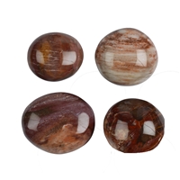 Tumbled Stones Petrified Wood, 3,5 - 5,0cm (Jumbo)