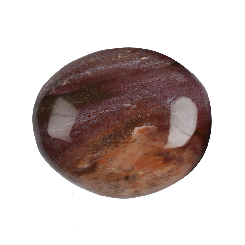 Pietra burattata in legno fossile, 3,5 - 5,0 cm (Jumbo)