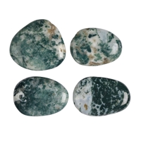 Smooth Stones Tree Agate