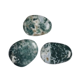 021981501 Smooth Stones Tree Agate | wholesaler - gems, precious & healing stones, jewelry