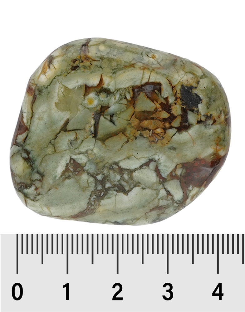 Smooth Stone Rhyolite (Rainforest Rhyolite)