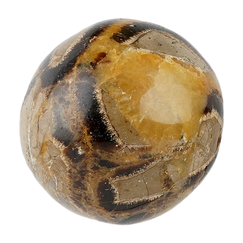 Trommelsteine Septarie, 4,0 - 4,5cm (Jumbo)