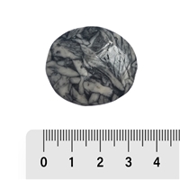 Scheibensteine Pinolith (Eisblumen-Magnesit)