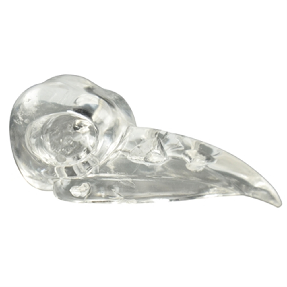 Teschio di uccello in cristallo di rocca forato "Raven Skull", circa 07 cm