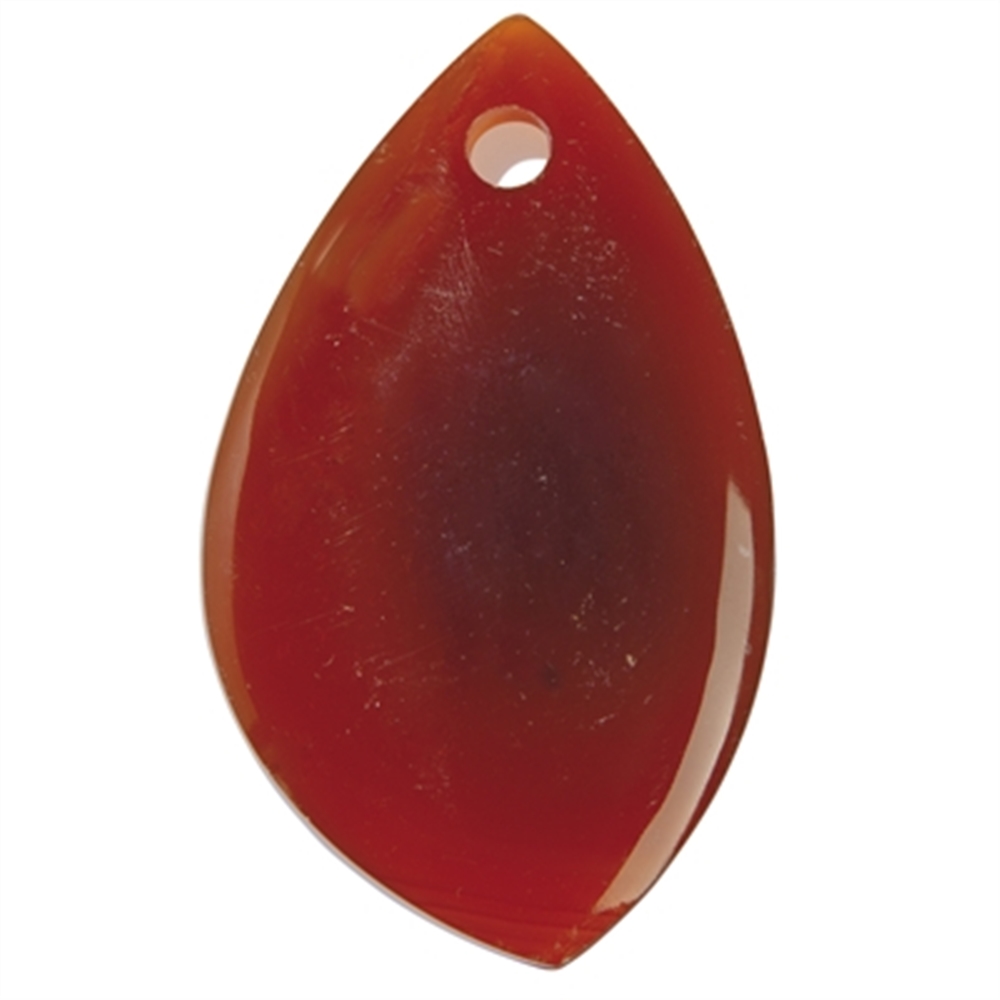 Curved leaf carnelian (fired) front drilled, 7,0cm