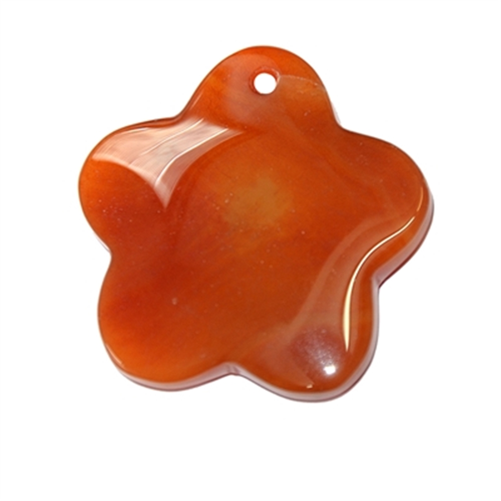 0404396048 Flower carnelian (heated) front drilled, 4,8cm | gems, healing stones & jewelry