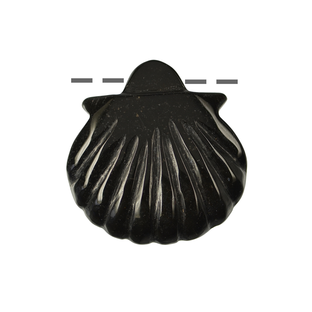 Coquille Onyx (teintée) percée, 4cm