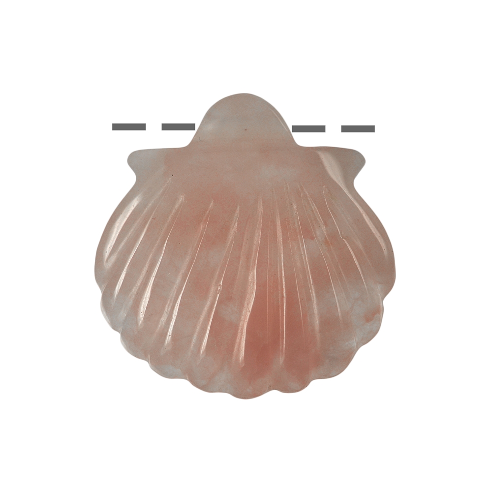 Coquille Quartz rose percée, 4cm