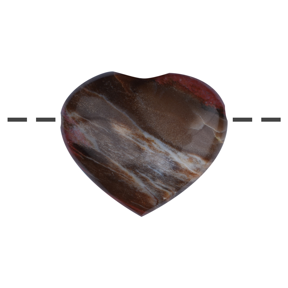 Herz versteinertes Holz gebohrt, 3,0-3,5 x 3,0-4,0cm