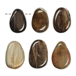 0418793002 Tumbled Stone Petrified Wood Drilled | wholesaler gems, healing stones & jewelry