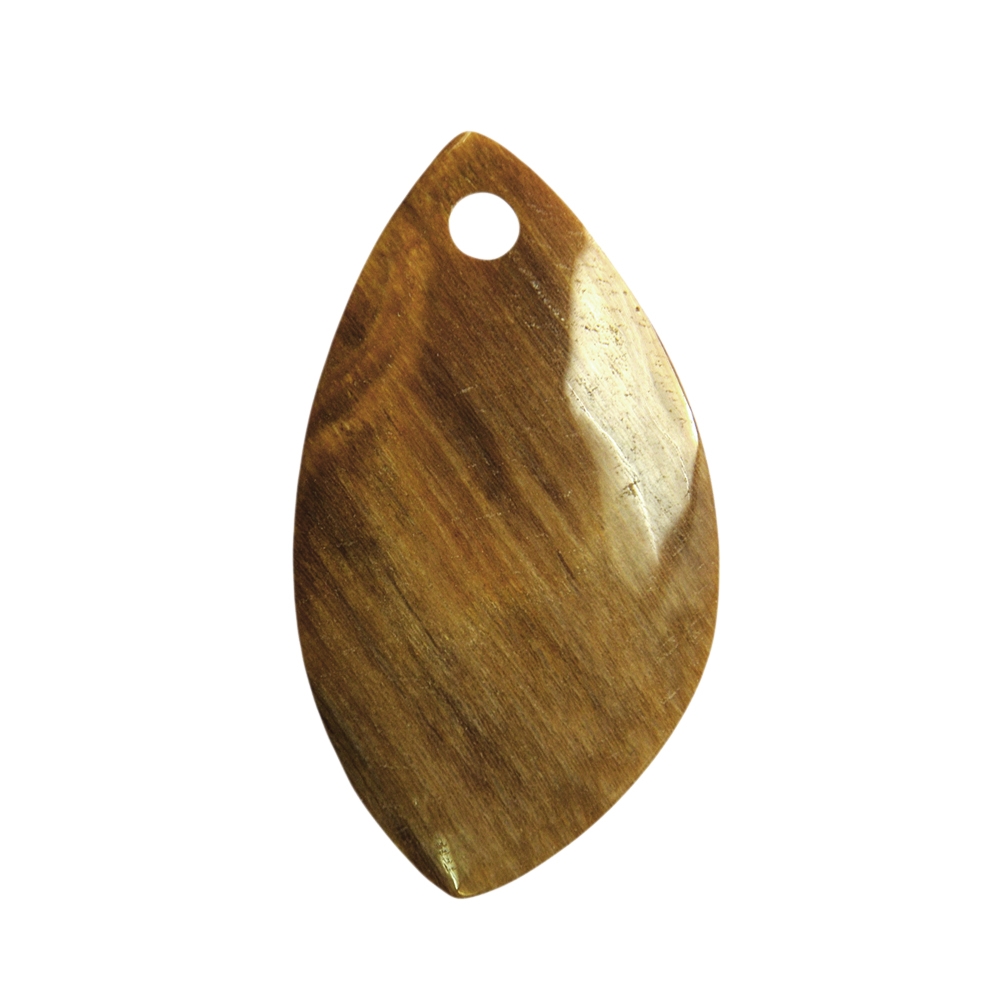 0418796040 Curved leaf Petrified Wood front drilled, 7cm | wholesaler gems & healing stones