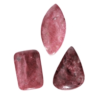Thulite cabochon drilled, 3,0 - 4,0cm, mixed shapes