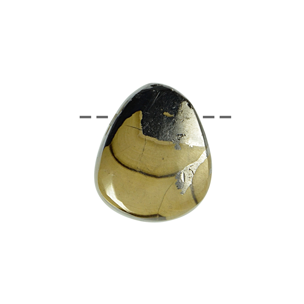 Cabochon Schalenblende percé, 2,0 - 2,5 cm (S)