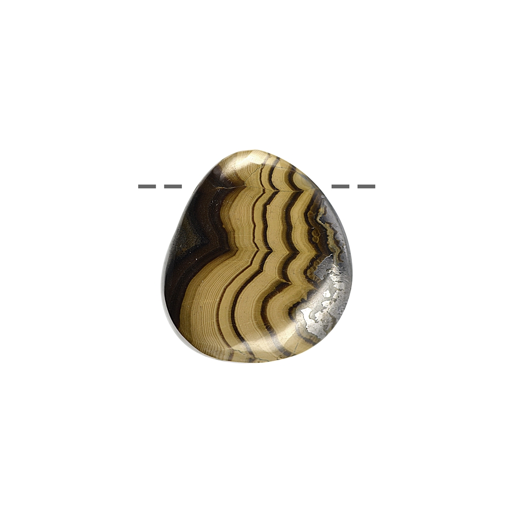 Lunetta in conchiglia cabochon forata, 2,5 - 3,0 cm (M)