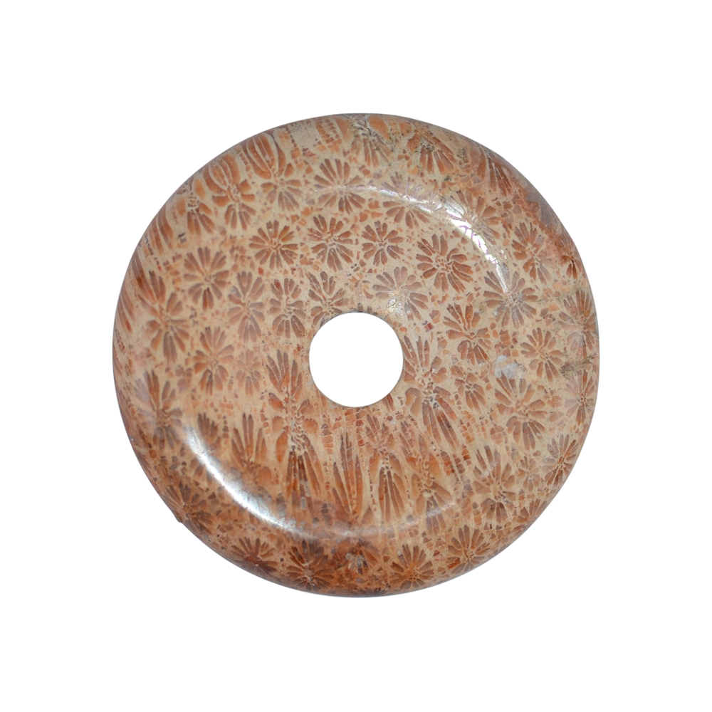 Donut versteinerte Koralle, 45mm