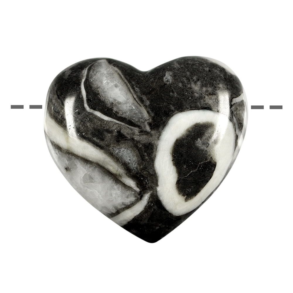 Heart fossil lime drilled, 4.5cm 