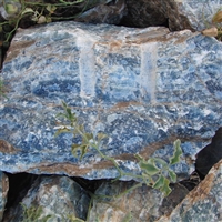 Set Cabochons gebohrt Aragonit blau, ca. 3,5 - 5cm (6 St./VE)