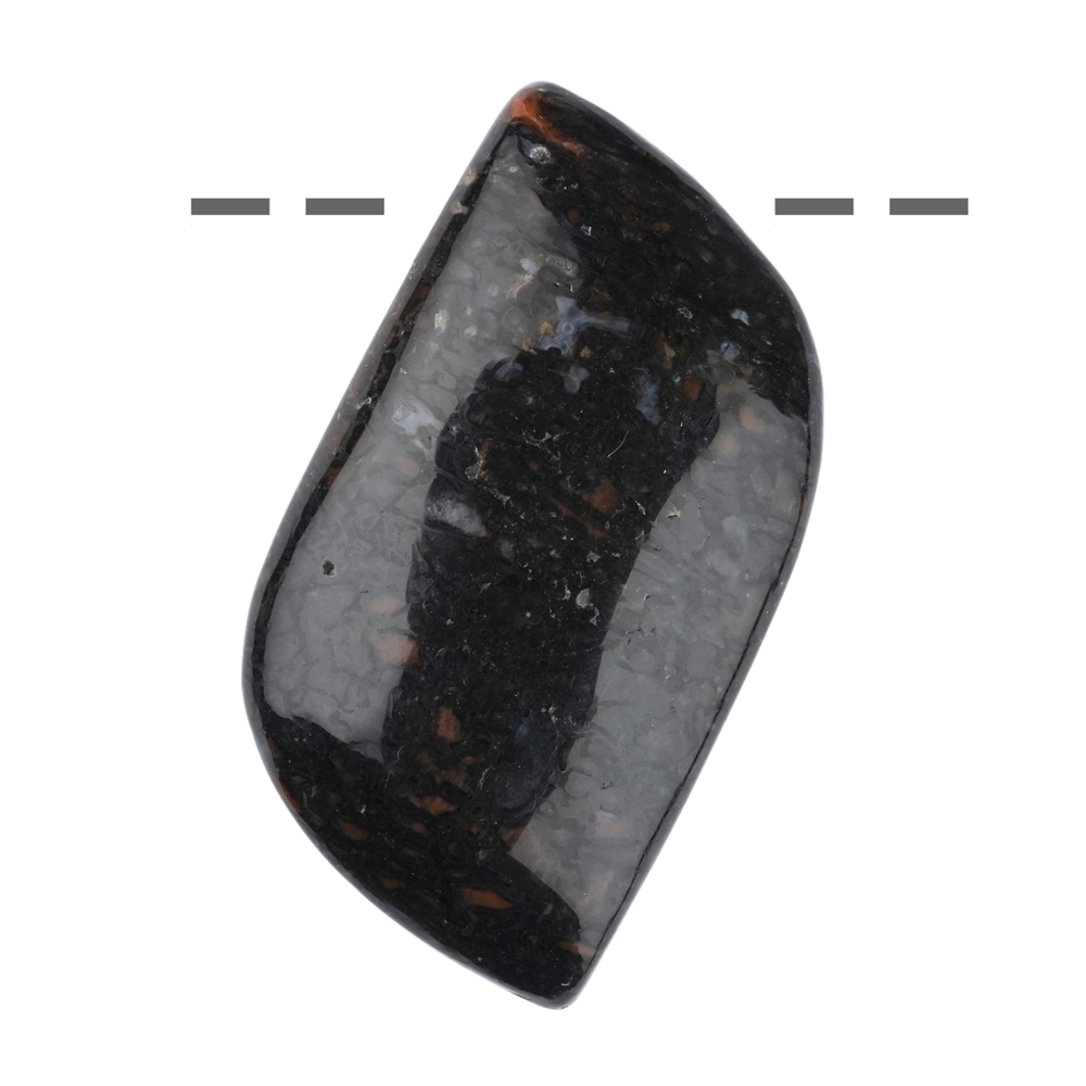 Cabochon di osso di dinosauro forato, 2,0 - 3,0 cm