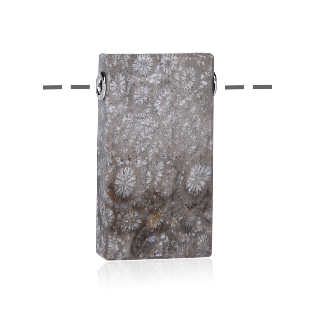 Parallélépipède rectangle de Corail fossilisé, percé, 4,0cm, chapeaux rhodiés