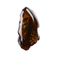 One side polished piece of Amber (Sumatra), 8,0cm (15 pcs./VE)